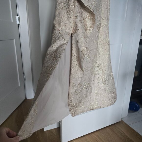 Teri Jon Gold Formal Gown size 10 - Picture 2 of 7